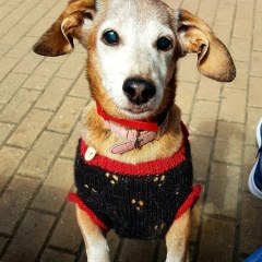 Юлия Аксёнова, Москва