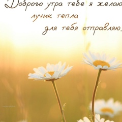 Алдынай Валерьевна, 09.04, Москва