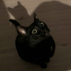 Евгений Потапов, 05.01, Москва