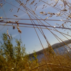 Дмитрий Мальков, 30.11, Мурманск