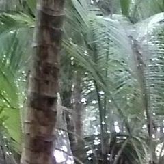 Татьяна Шаповалова, Ростов-на-Дону