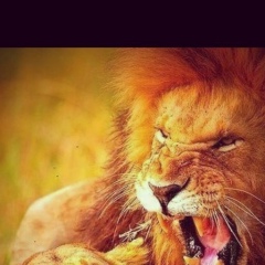 Nursultan Karabayev, 07.03, Алматы