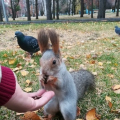 Анна Терлеева, 20.04