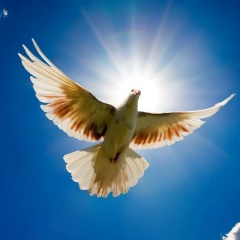 Арайлым Коныратова, 22.03.1986, Алматы