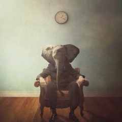 Дмитрий Бабич, 07.03, Киев