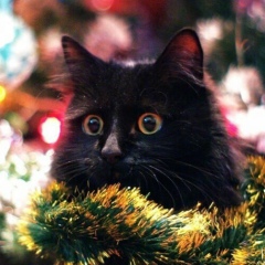 Александр Кудинов, 16.02.1987, Москва