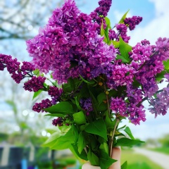 Ольга Кравченко, 29.07, Киев