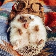 Светлана Волкова, 09.03, Обнинск