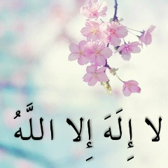 Beka Zholdassov, 05.11, Berlin