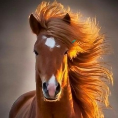 Ануар Ботабаев, 17.02.1974, Алматы