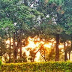 Ko Tin, 18.07.1993, Москва