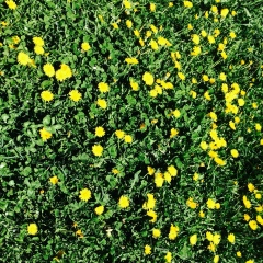 Айгерим Нарышева, 02.08.1986, Алматы