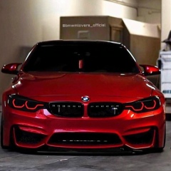 Adil Elubaev, Сарканд