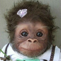 Маргарита Анисимова, 24.07, Москва