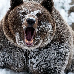 Мурад Мусаев, 19.06