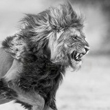 Вадим Белоусов, 09.07, Одесса