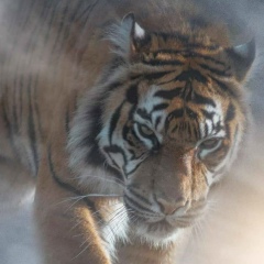 Алемжан Айеш, 20.02.1986, Актау