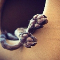 Катя Кушнерова, 19.01, Киев