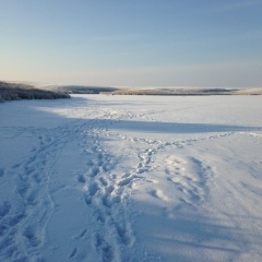 Бакыт Бабилов, Актобе