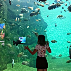 Ирина Мальцева, 25.05.1995