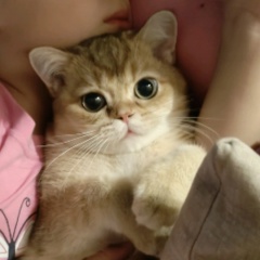 Сергей Анисимов, 06.03.1988, Псков