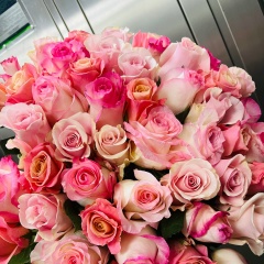 Настя Доной, 15.06.1996, Раменское