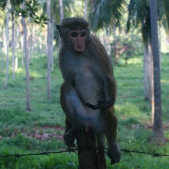 Андрей Чуйков, 05.03.1983, Подольск