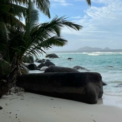 Alenchik Frolova, 14.12