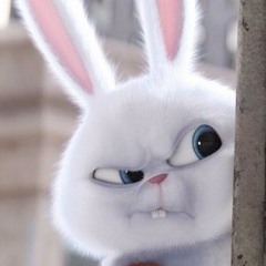 Илья Розарёнов, 14.01