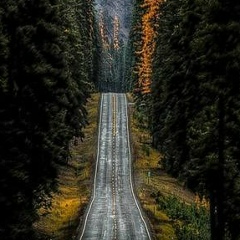 Алексей Ильин, 13.09.1987, Великий Новгород