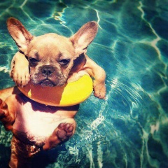 Vitalik Kirienko, 25.11.1990, Barcelona