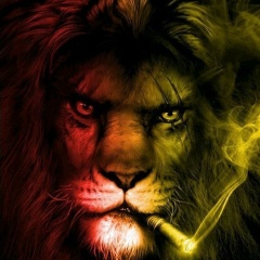 Малик Маратов, 12.08, Gosport