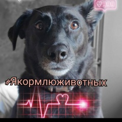 Ксения Паскарь, 04.10.1985, Москва