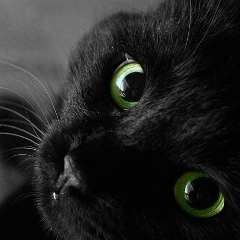 Гузель Юрина, 19.04.1984, Уфа