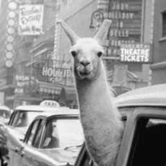 Татьяна Харитонова