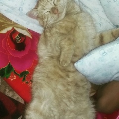 Асылай Нұржанова, 08.02, Атырау