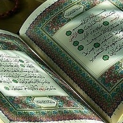 Асхаб Яндаев, 09.03.1994, Грозный