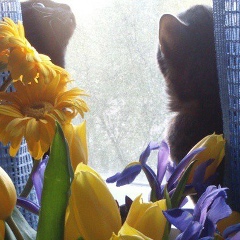 Елена Касперская, 16.05, Москва