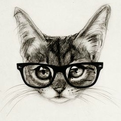 Cat Warm