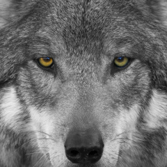 Андрюха Васильев, 27.05