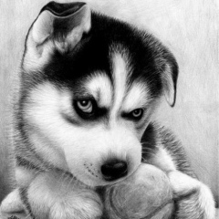 Таня Новикова, 16.05, Пенза