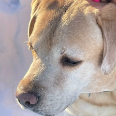 Виктор Гавриков, 13.07, Нижнекамск