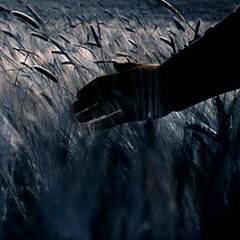 Мадина Маргоева, Воронеж