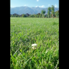 Aida Aitzhanova, 18.02, Алматы