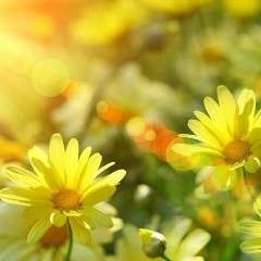 Светлана Пузанкова, 12.06.1976, Екатеринбург