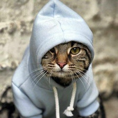 Владислав Коржавин