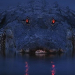 Сергей Серый, 10.10