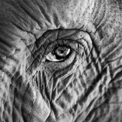 Erlo Oooo, 14.01.1982, Талгар