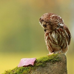 Svetlana Konstantinova, 15.01, Санкт-Петербург