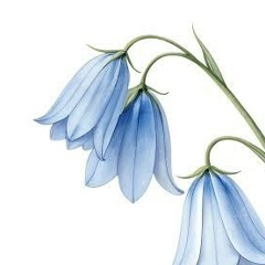 Анна Захарова